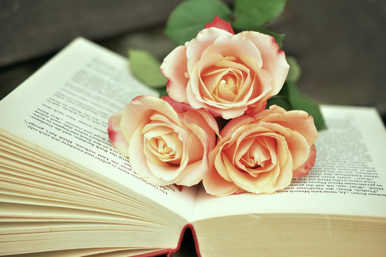 10 000 Free Book Reading Photos Pixabay