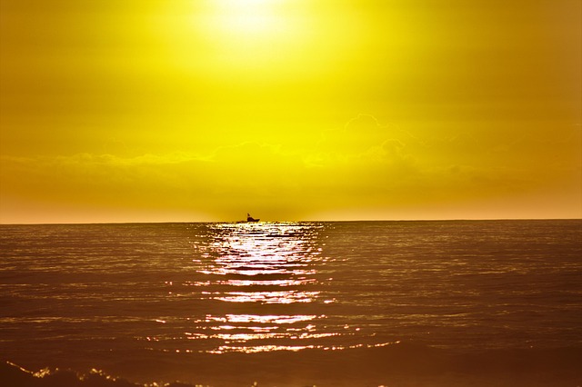 Free Sunrise Sunny photo and picture