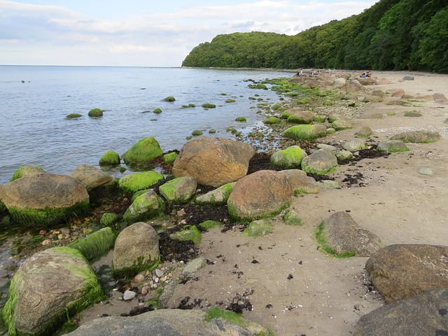 Free Beach Sea photo and picture