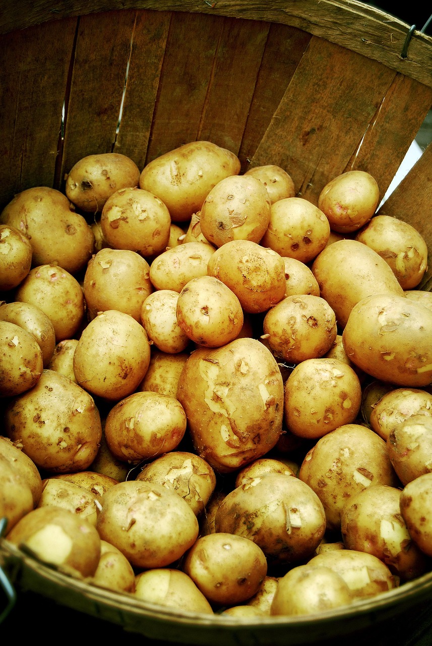Potatoes Vegetable Potato Free photo on Pixabay Pixabay