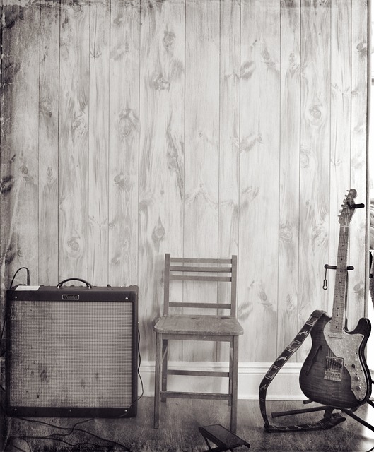 Free Guitarist Jazz photo and picture