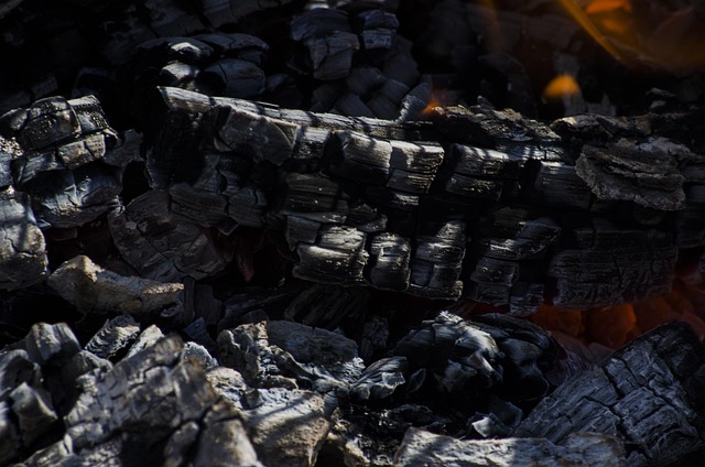 Free Fire Coal photo and picture