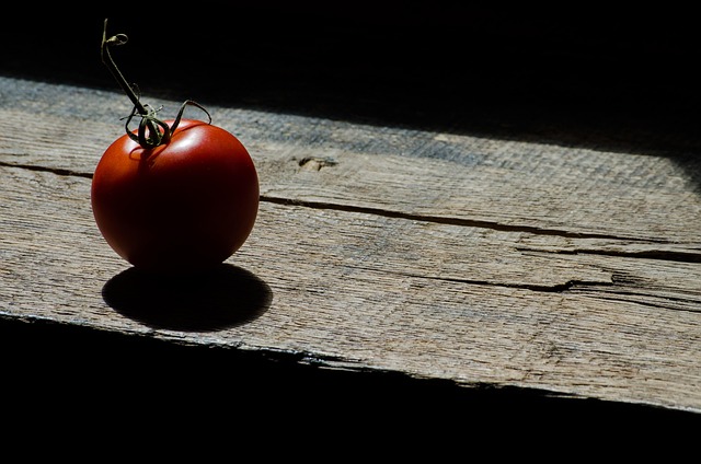 Free Tomato Contrast photo and picture