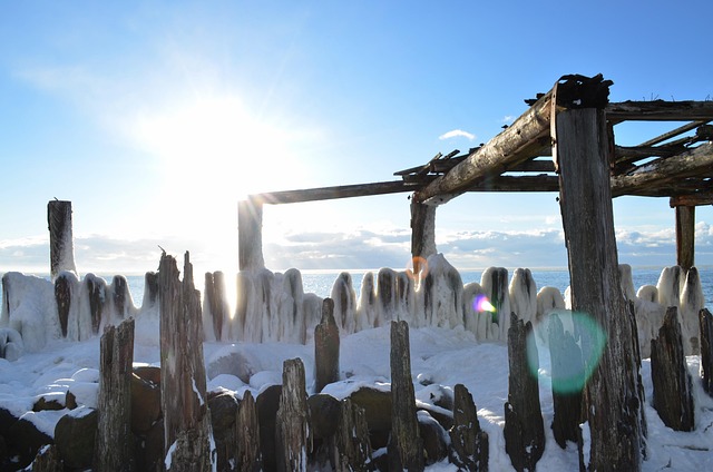 Free Winter Beach photo and picture