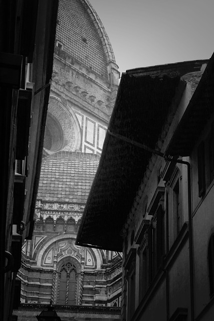 Free Black And White Florence photo and picture