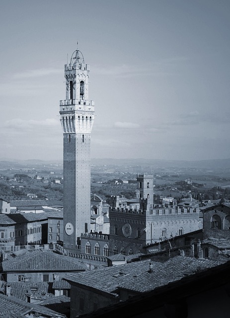 Free Black And White City photo and picture