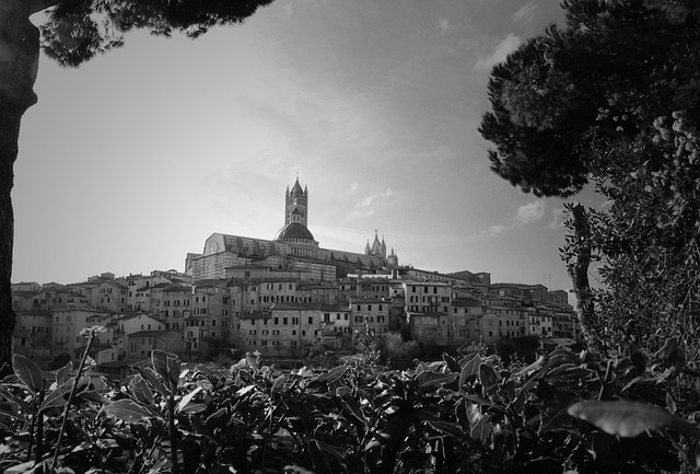 Free Siena View photo and picture