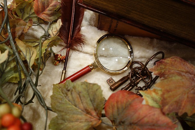 Geheimnis, Lupe, Herbst