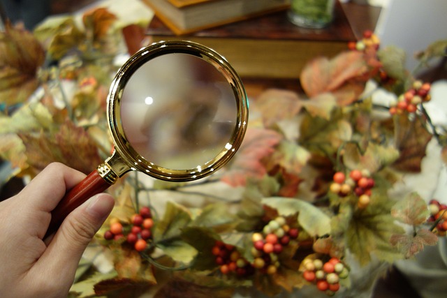 Geheimnis, Lupe, Herbst