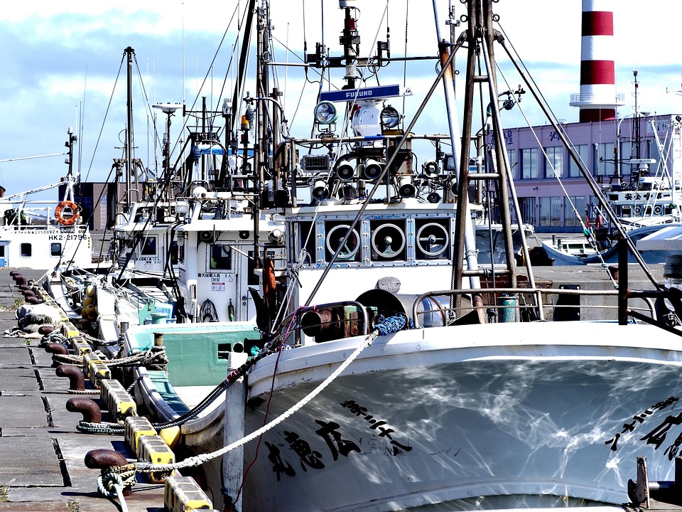Reeling in Royalty: The Ultimate Guide to Kingfish Fishing