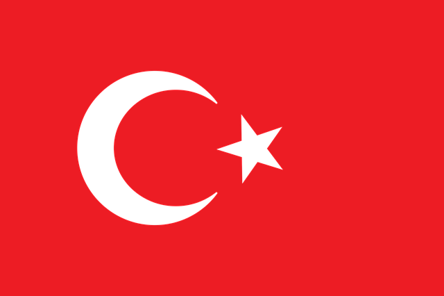 Türk sarışın porn