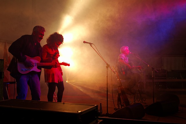 Konzert, Van De Estross, Bühne, Gitarre