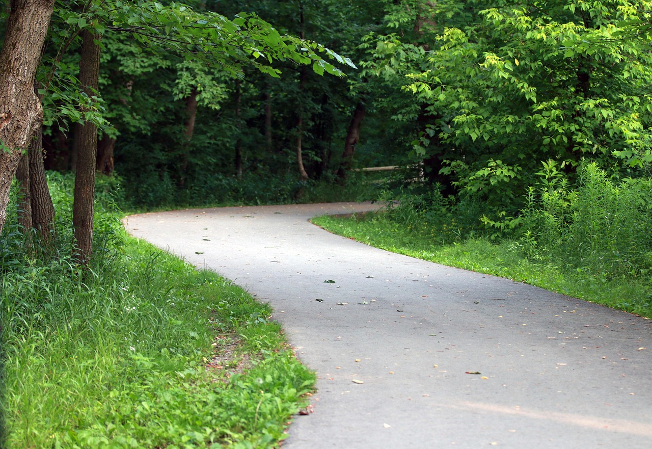 Vert Forêt Sentier - Photo gratuite sur Pixabay - Pixabay