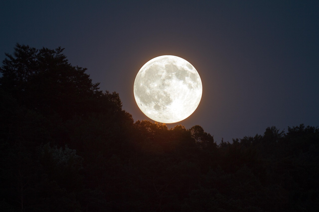 Full Moon Evening Sky Moonlight Free Photo On Pixabay