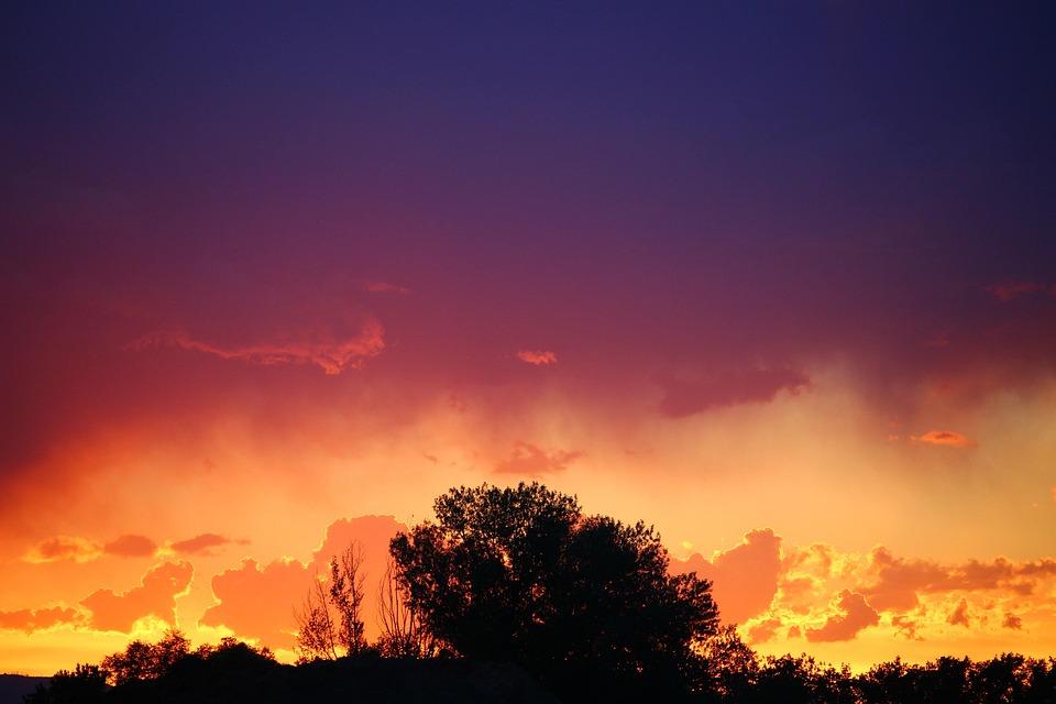 Le Coucher Du Soleil Contraste Photo Gratuite Sur Pixabay Pixabay le-coucher-du-soleil-contraste-photo-gratuite-sur-pixabay-pixabay