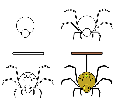 Free Drawing Spider illustration and picture