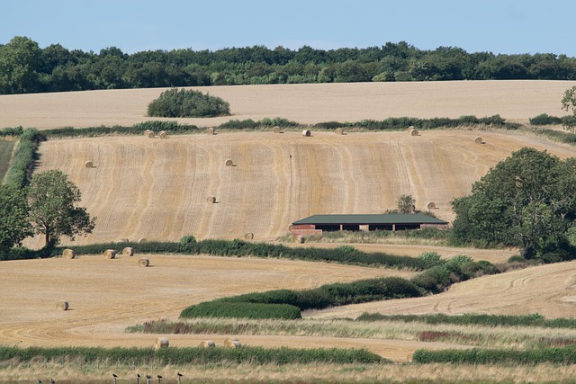 Free Farm Landscape photo and picture