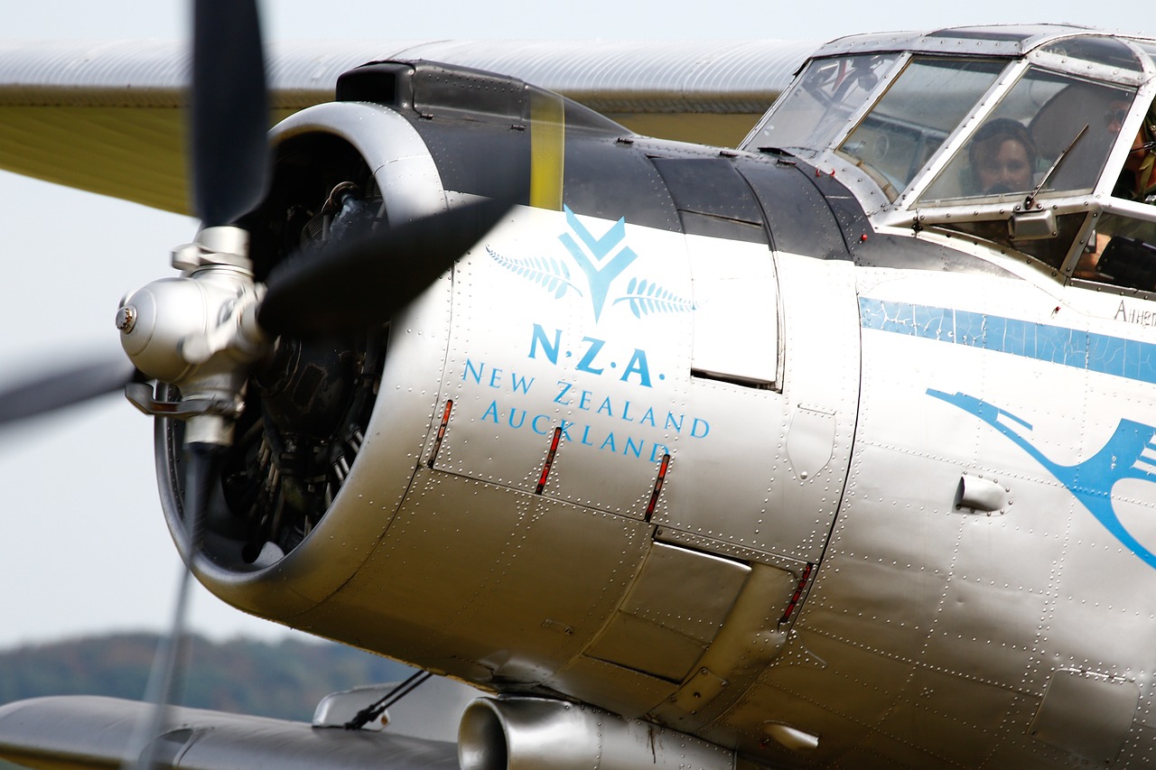 Plane - free online jigsaw puzzle photo