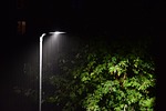 rain, lantern, tree