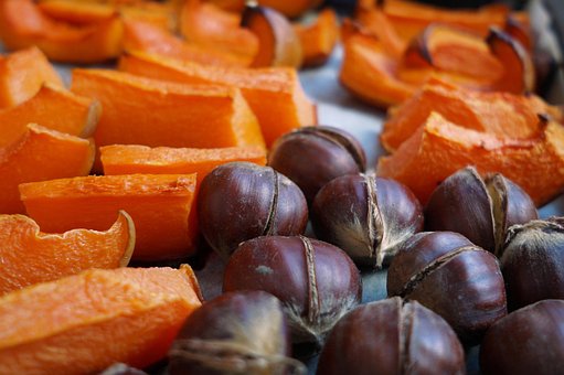 Free Food Pumpkin photo and picture