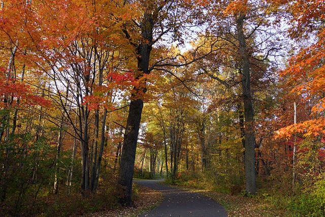 Free Fall Trail photo and picture