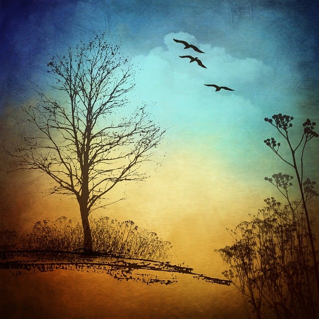 Free tree bird nature illustration