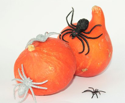 Free Pumpkins Halloween photo and picture
