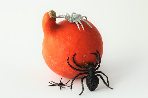 Free Pumpkins Halloween photo and picture