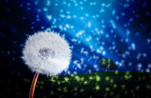Free landscape fantasy flower illustration
