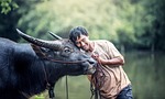 animals, men's, agriculture