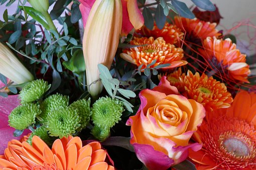 Blomst, Struds, Blomstre, Flok Blomster