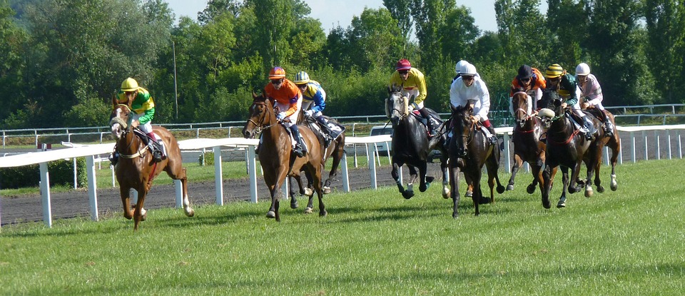 Hippodrome Horse Race Racing Pmu Jockeys Horses