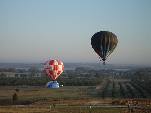 Free High Fly photo and picture
