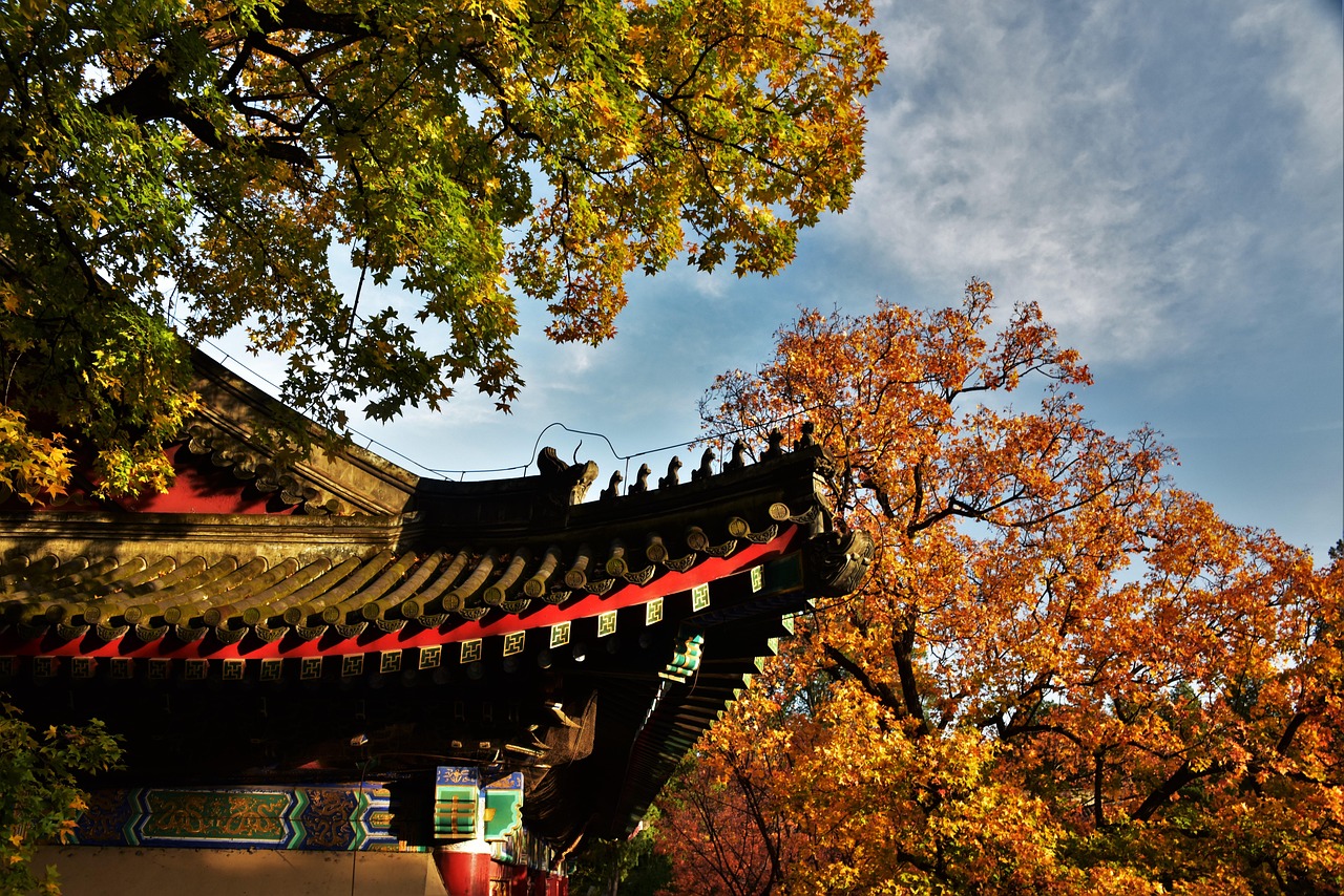 Autumn - free online jigsaw puzzle photo