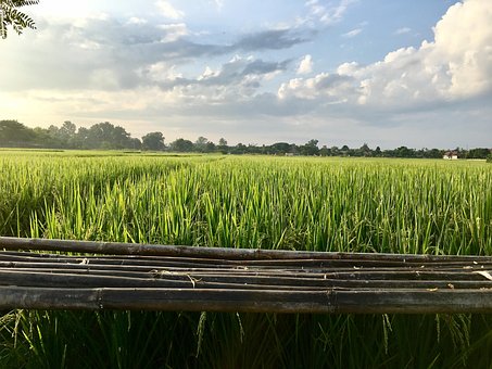 Free Field Farm photo and picture