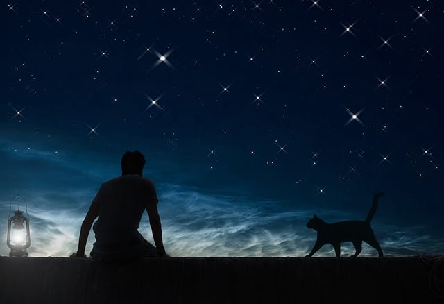 Free daydreamer nature night sky illustration