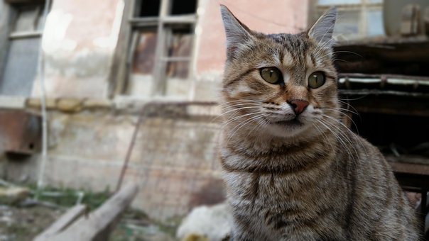 μαύρο σε λευκό μουνί φωτογραφίες Ερασιτέχνες πορνό συνεντεύξεις