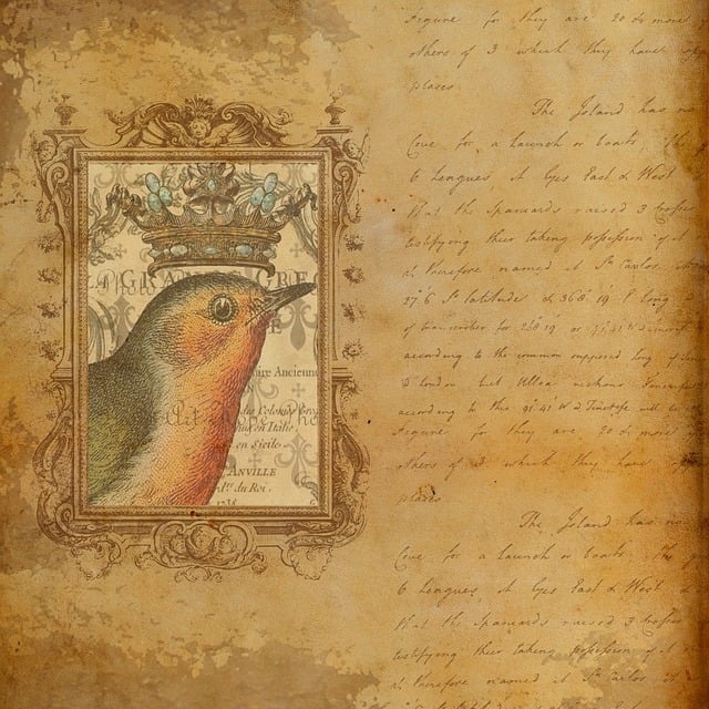 Download free HD stock image of Paper Old Free paper old vintage illustration