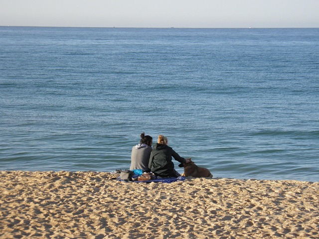 Free Beach Young Couple photo and picture
