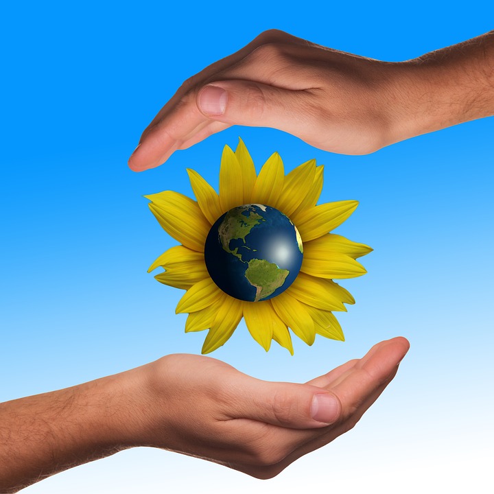 handen beschermen bescherming gratis afbeelding op pixabayhanden, beschermen, bescherming, zonnebloem, globe