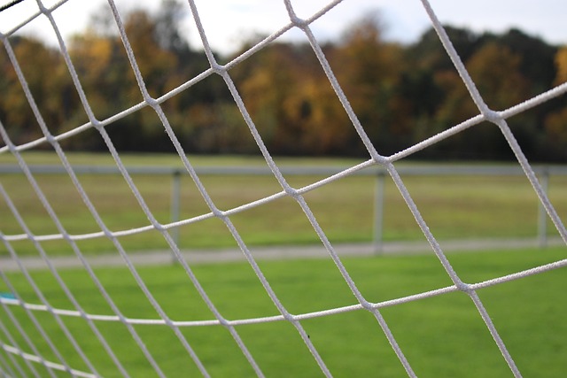 Fodboldbane, Fodbold, Web, Port