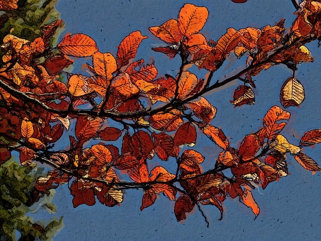 Free leaves branch tree illustration