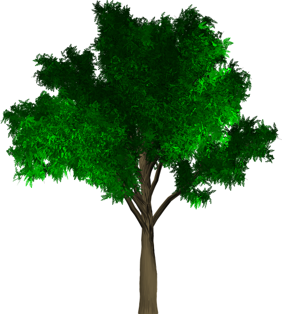 Free tree isolated leaf illustration
