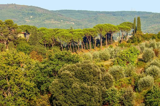 Toskánsko, Itálie, Krajina, Chianti