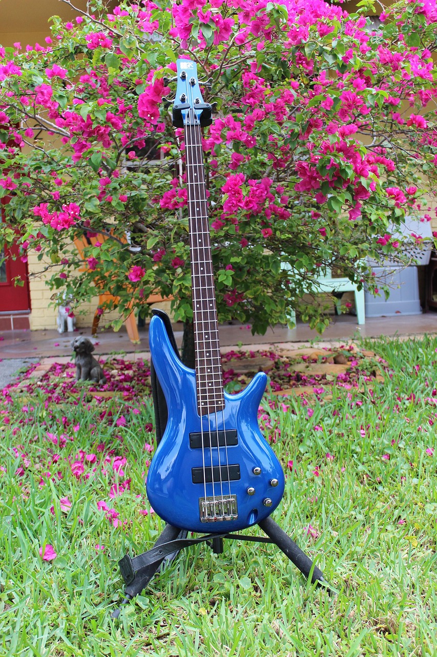 Gitarre Blaue E Kostenloses Foto Auf Pixabay
