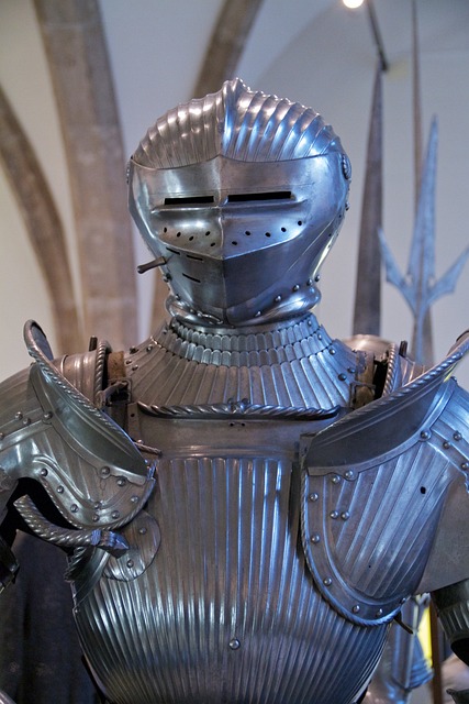 Free Bavaria Knight photo and picture