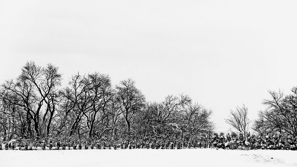 Free Snow Black And White photo and picture