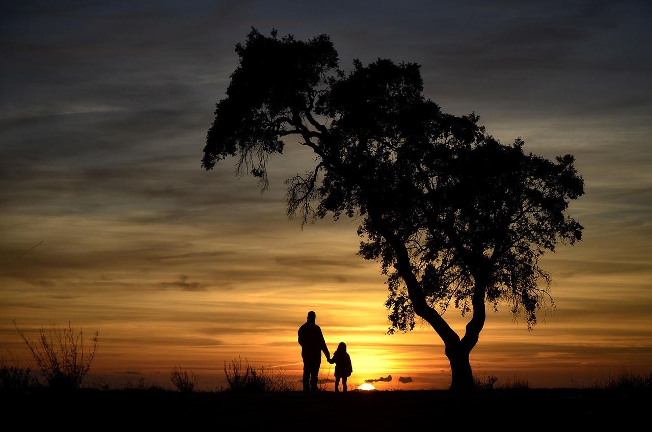 Backlighting Nature - Free photo on Pixabay