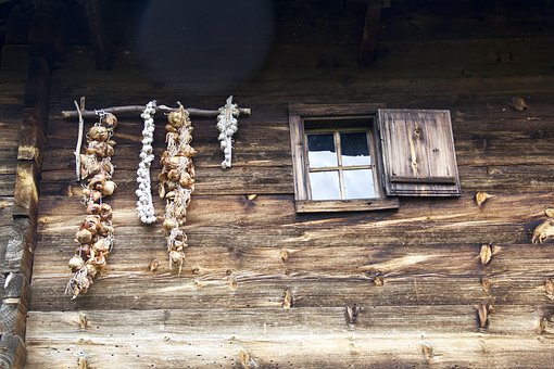 Free Garlic Old photo and picture