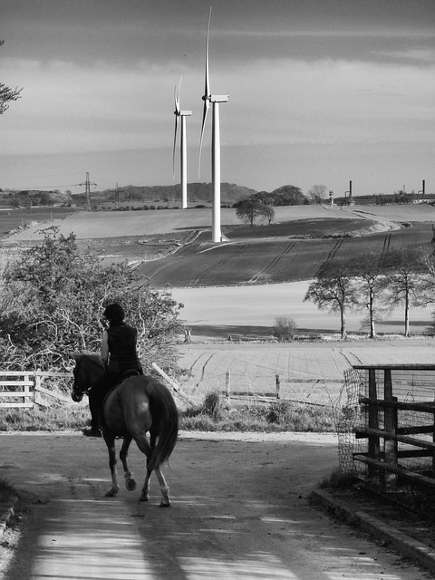Free Wind Turbine Horse photo and picture